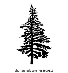 Pine tree isolated on white background, silhouette woods and fir tree for your design, isolated.