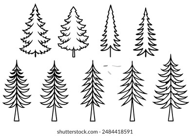Pine Tree Line Art Classic Forest Illustration for Decor