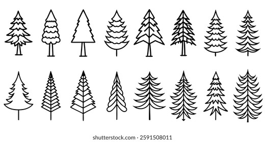 Pine Tree Line Art Detailed Hand Drawn Tree Illustration Drawing