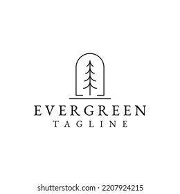 pine tree with line art style vector logo design