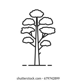 Pine tree linear icon. Thin line illustration. Contour symbol. Vector isolated outline drawing