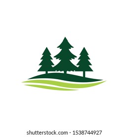 pine tree logo design inspiration