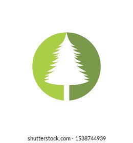 pine tree logo design inspiration