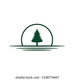 pine tree logo design inspiration