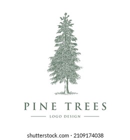 PINE TREE LOGO DESIGN VECTOR