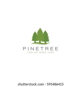 Pine Tree  Logo Icon Vector Template