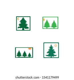 pine tree logo illustration vector design