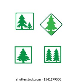 pine tree logo illustration vector design