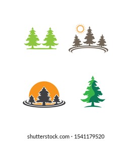 pine tree logo illustration vector design