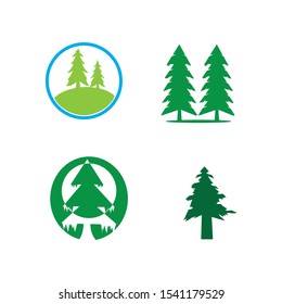 pine tree logo illustration vector design