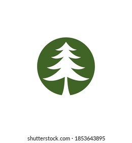 Pine tree logo ilustration design