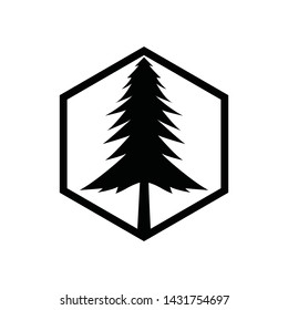 Pine tree logo template isolated on white background