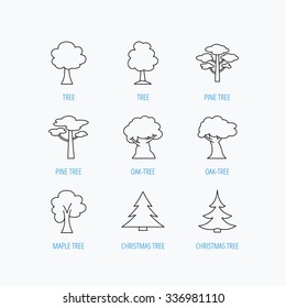 Pine tree, maple and oak icons. Christmas trees linear signs. Forest trees flat line icons. Linear set icons on white background.
