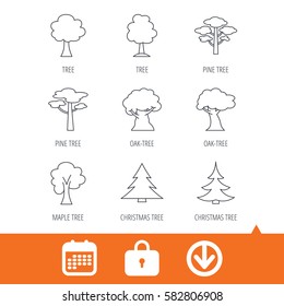 Pine tree, maple and oak icons. Christmas trees linear signs. Forest trees flat line icons. Download arrow, locker and calendar web icons. Vector