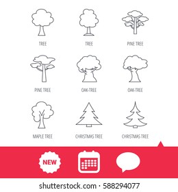 Pine tree, maple and oak icons. Christmas trees linear signs. Forest trees flat line icons. New tag, speech bubble and calendar web icons. Vector