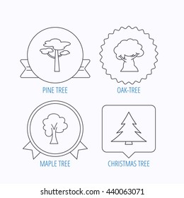 Pine tree, maple and oak-tree icons. Forest trees linear signs. Award medal, star label and speech bubble designs. Vector