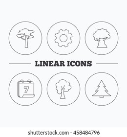 Pine tree, maple and oak-tree icons. Forest trees linear signs. Flat cogwheel and calendar symbols. Linear icons in circle buttons. Vector