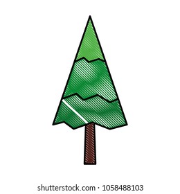 pine tree natural forest concept