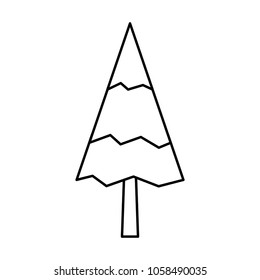 pine tree natural forest concept