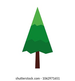 pine tree natural icon