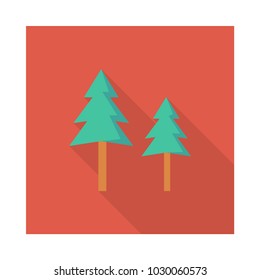  pine tree nature 