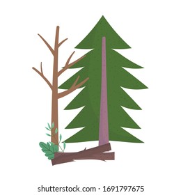 pine tree in nature isolated icon design vector illustration