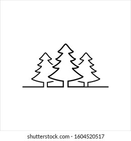 pine tree nature outdoor green