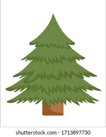 Pine Tree. New year tree.