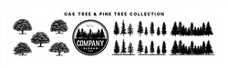 Pine Tree And Oak Tree Silhouette Logo Collection. Spruce Pine Tree Forest, Fir, Wild Nature Trees, Pinus, Cedar, Woodland Trees Hand Drawn Logo Design. Vector Illustration