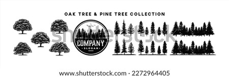 Pine tree and oak tree silhouette logo collection. Spruce pine tree forest, fir, wild nature trees, pinus, cedar, woodland trees hand drawn logo design. Vector illustration 商業照片 © 