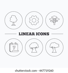 Pine tree, oak-tree icons. Forest trees linear sign. Flat cogwheel and calendar symbols. Linear icons in circle buttons. Vector