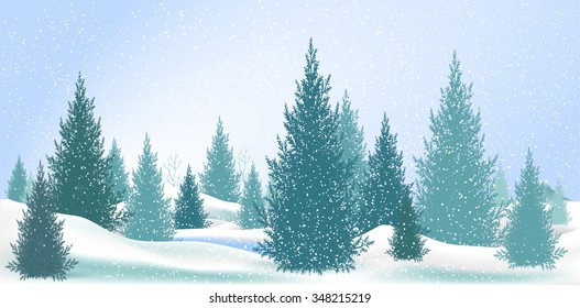 Pine Tree On Snow.