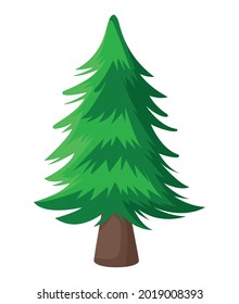 pine tree plant coniferus icon