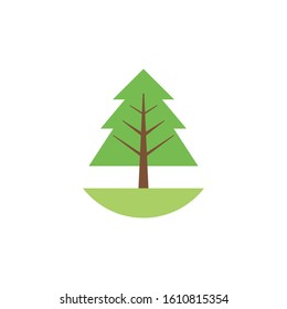pine tree plant flat style vector illustration design