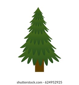 pine tree plant icon