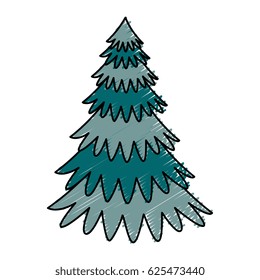 pine tree plant icon