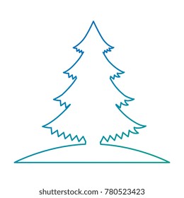 pine tree plant icon