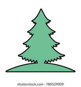 pine tree plant icon