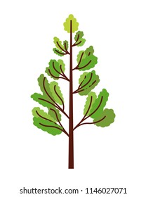 pine tree plant isolated icon
