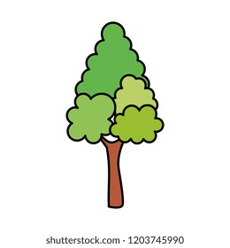 pine tree plant isolated icon