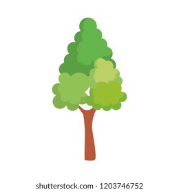 pine tree plant isolated icon