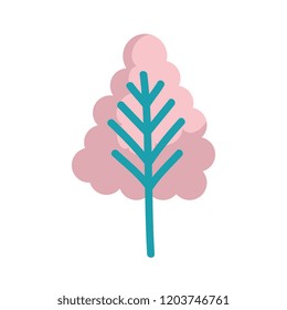 pine tree plant isolated icon