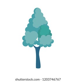 pine tree plant isolated icon