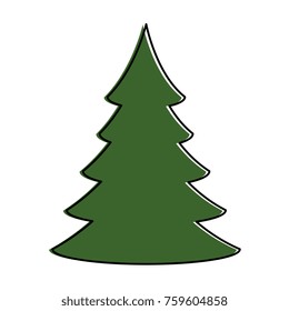 pine tree plant isolated icon