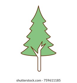 pine tree plant isolated icon