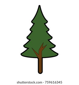 pine tree plant isolated icon
