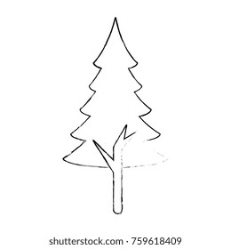 pine tree plant isolated icon