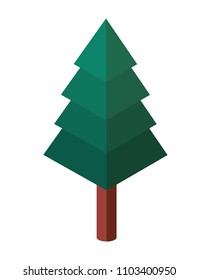 pine tree plant isometric icon