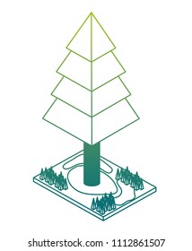 pine tree plant isometric icon