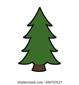 pine tree plant national forest nature switzerland